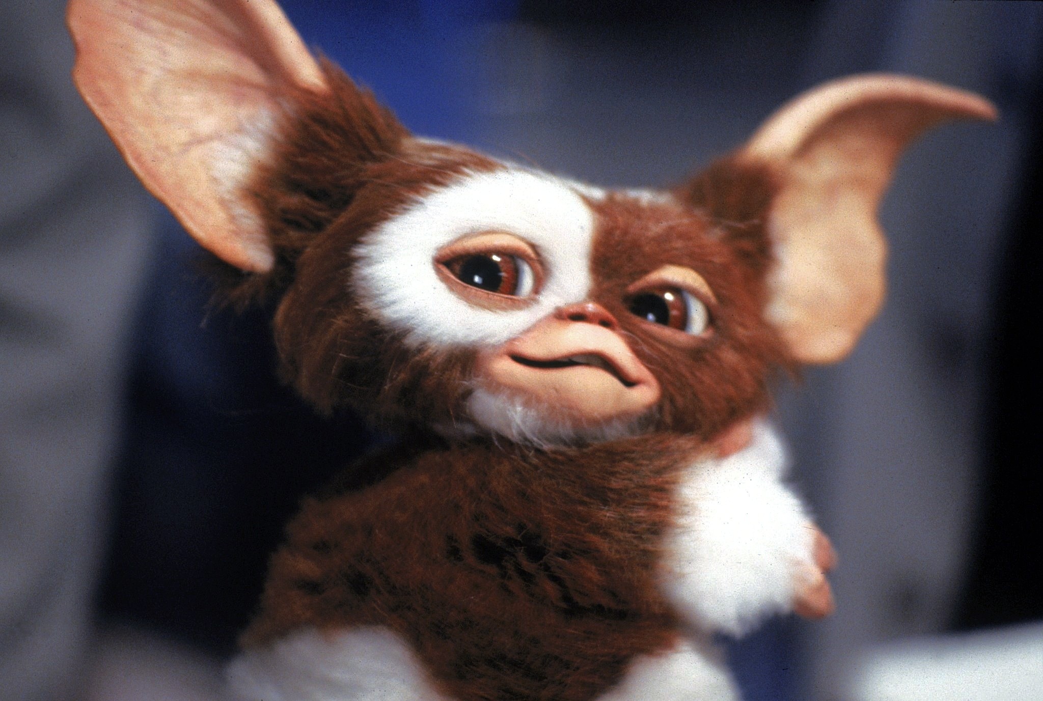 Gremlins (1984)