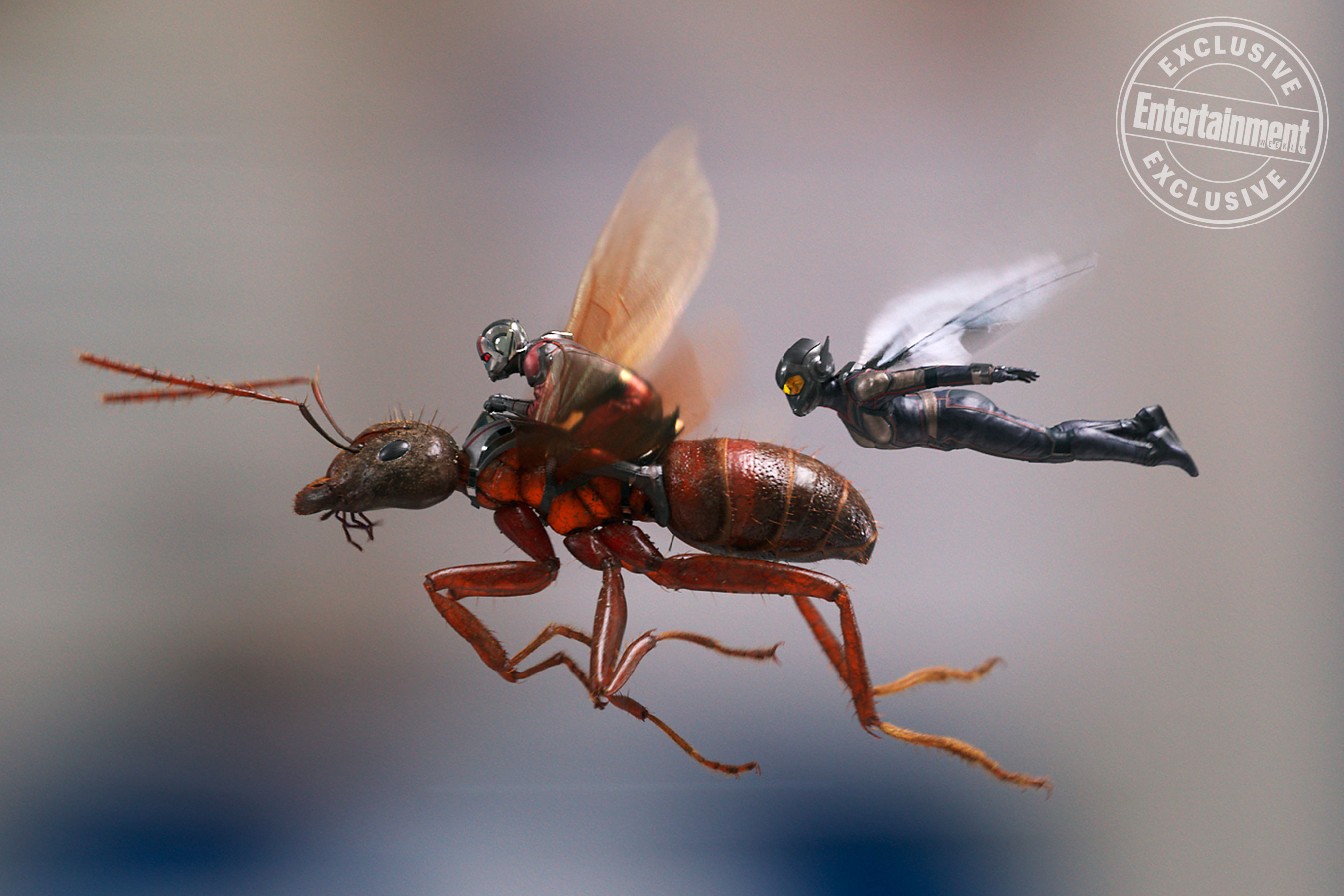 homem formiga e a vespa aparecem voando juntos em nova foto da sequência